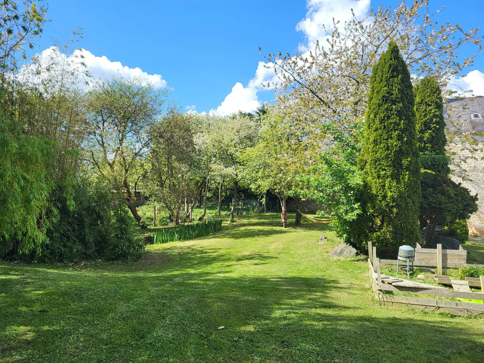 Le jardin du domaine sous le soleil, grands arbres et pelouse